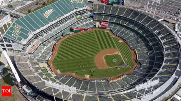 Pitch Report
