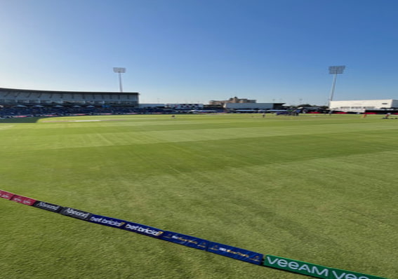 Pitch Report & Conditions
