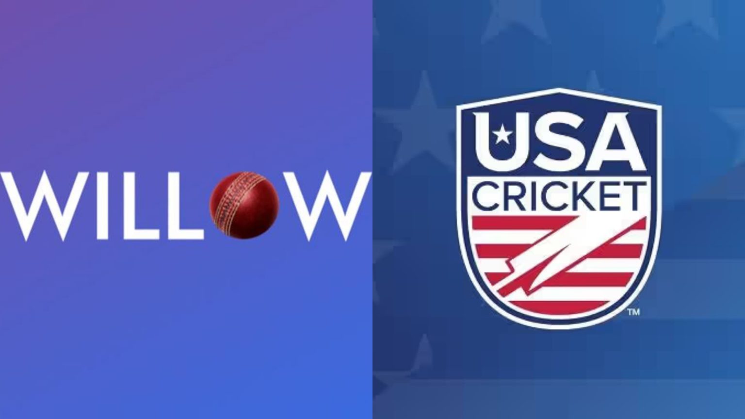 How to Watch Cricket Live in the USA